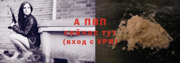 ПСИЛОЦИБИНОВЫЕ ГРИБЫ Волоколамск