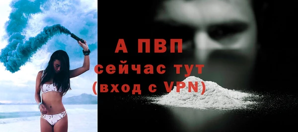 прущие грибы Володарск