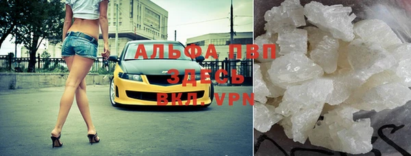 прущие грибы Володарск