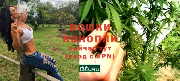 прущие грибы Володарск