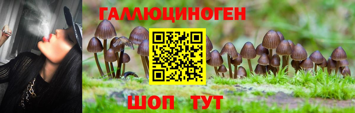 Муром  Псилоцибиновые грибы ЛСД  Псилоцибиновые грибы прущие грибы  Вход с VPN 