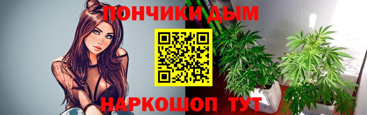 Бошки Шишки Amnesia Муром